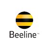Beeline 100x100